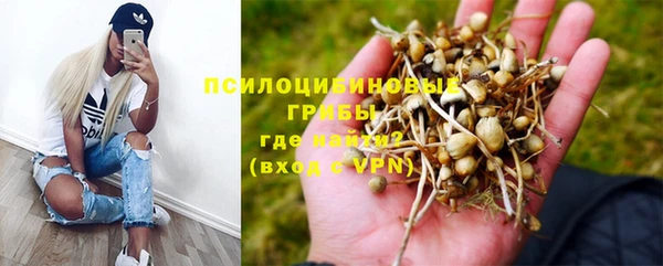 твердый Абаза