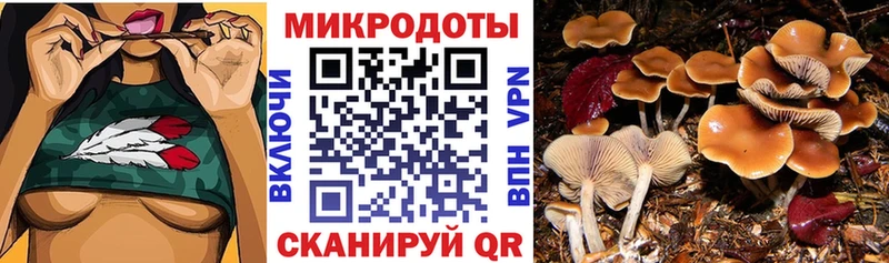 Псилоцибиновые грибы Psilocybe  наркота  hydra зеркало  Краснокамск 